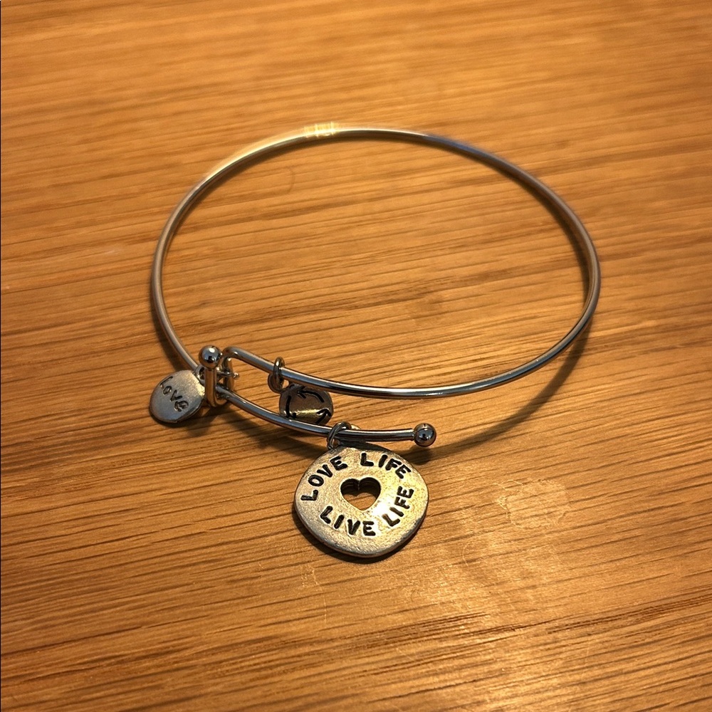 Alex and Ani Silver Love Life Charm Bracelet